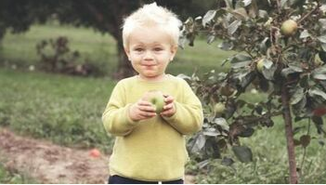 Un enfant déguste une pomme fraîchement cueillis d'un pommier situé sur la propriété de ses parents à Sainte-Julie.